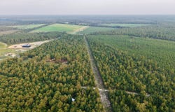 Charleston Highway, Williston, SC 29853