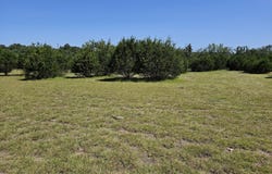La Luna Dr lot: 155, Blanco, TX 78606