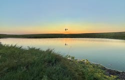 First Creek Ranch, Booker, TX 79005