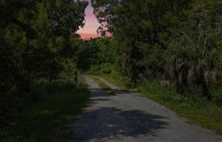 Algood Road, Spring Hill, FL 34607