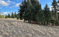 Lot 3 Scranton Lode, Philipsburg, MT 59858
