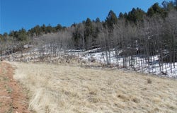 388 Grey Eagle Drive, Cripple Creek, CO 80813