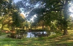 681 Ripley Rte 160-E8, Doniphan, MO 63935