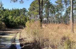 Sr 1119 Off, Chocowinity, NC 27817