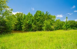County Road 3311, Omaha, TX 75571