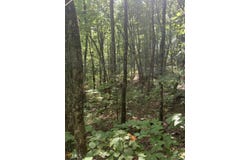 N Woods Point, Sky Valley, GA 30537