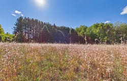 Edelweiss Drive, Bellaire, MI 49615