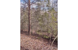 2 Riverview Forest Drive, Marion, NC 28752