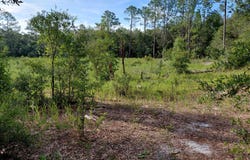 157 OAK Circle, Interlachen, FL 32148