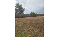 Tournament Drive, Mountain View, AR 72560