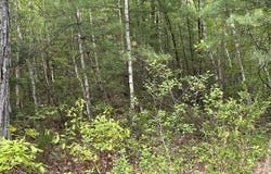 0 Lot 2 Stoddard Rd, Winchendon, MA 01475