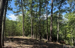 V/L Overland Trail, Marion, NC 28752