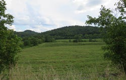 3534 McClure Branch, Louisa, KY 41230