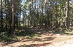 U 53 L 1, PACHUTA, MS 39347