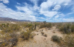 770 E Vulcan Drive, Meadview, AZ 86444