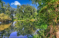 511 High Street, Williamston, MI 48895