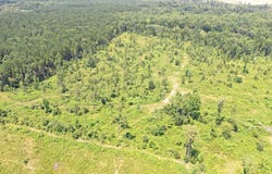 CR 16122, LOUIN, MS 39338