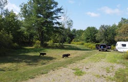 M14L24-2 Swan Lake Avenue, Monroe, ME 04951
