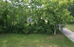 Delano Street, Romulus, MI 48174