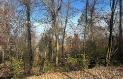 WILD TURKEY Drive, SPRING MILLS, PA 16875