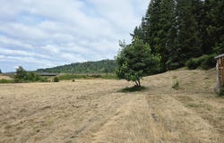 920 BUCK CREEK Rd, Drain, OR 97435