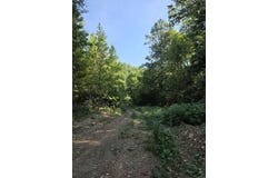 Forest Service Road, Mena, AR 71953