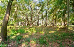 W Black Island Road lot: 8, Darien, GA 31305