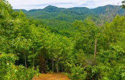 Reserve Rd, Franklin, NC 28734