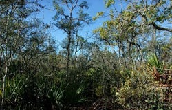 10566 Interlacher Drive, Sebring, FL 33875