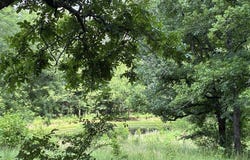 5 Acres Smith Rd, Texarkana, AR 71854