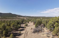 TBD CR 310, Ignacio, CO 81137