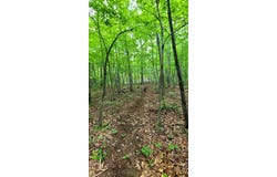 638 Flat Top View lot: 253, Wilder, TN 38589