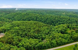 Cron Road, Lampe, MO 65681