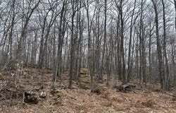 153 Acre, Negaunee, MI 49866