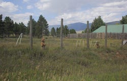 62 Cerro Verde, Eagle Nest, NM 87718-0000
