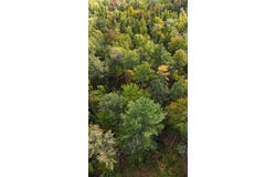 106 Southgate Road, Old Town, ME 04468