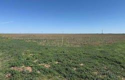 Blackbird, Amarillo, TX 79108