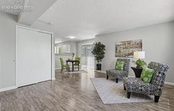 1010 Magic Lamp Way, Monument, CO 80132