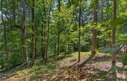 206 Shipmaster Drive, Salem, SC 29676