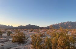 Mountain View Road, 29 Palms, CA 92277