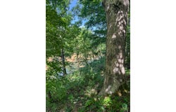 Marigold Dr, Lebanon, MO 65536