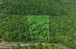 1041 E Obey Lane, Wilder, TN 38589