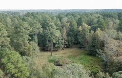 Hwy 28 W, SOSO, MS 39480