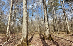 3 Evans Road, Carthage, MS 39051