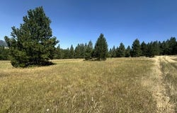 Parcel B Highway 95, Plummer, ID 83851