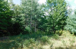 29 Robinson Boulevard, Medway, ME 04460