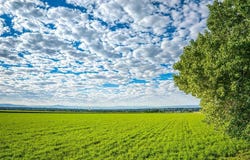 1449 Highway 50, Delta, CO 81416