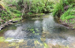 5143 UMPQUA HIGHWAY 99, Drain, OR 97435