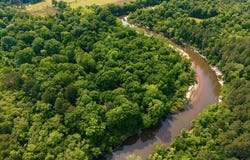 1230 Morriston, Petal, MS 39465