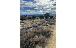 Grant Avenue, Spring Creek, NV 89815